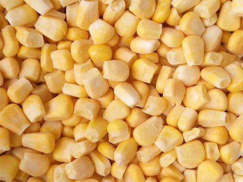 FD corn