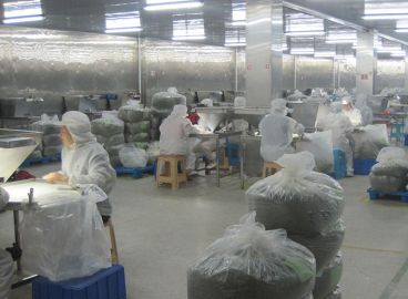 Hand Selection workshop